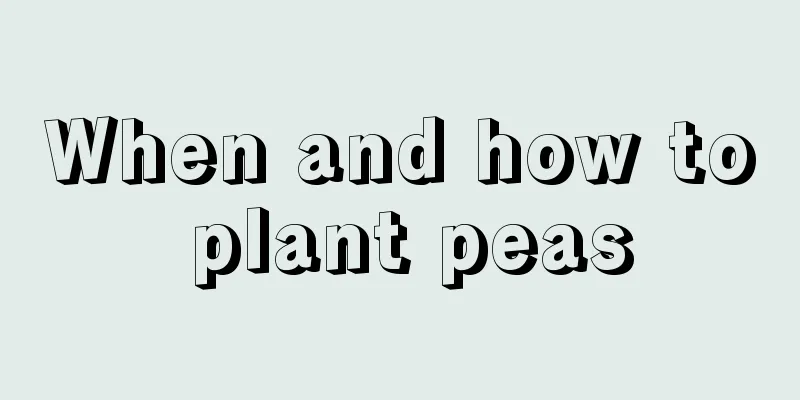 When and how to plant peas