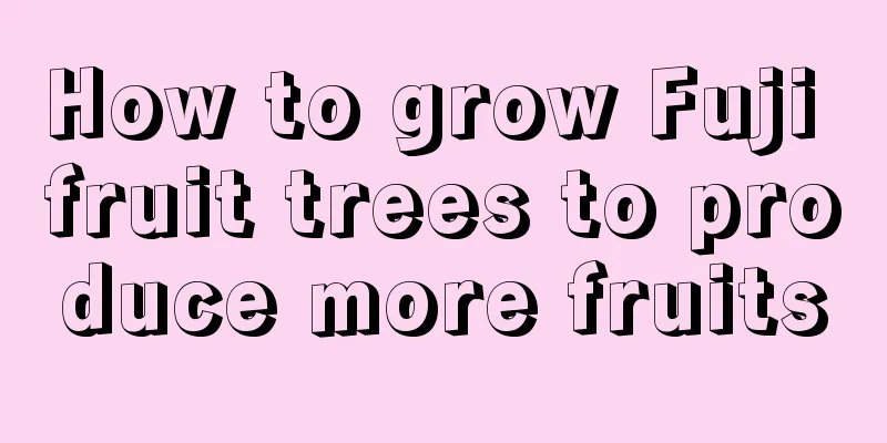 How to grow Fuji fruit trees to produce more fruits