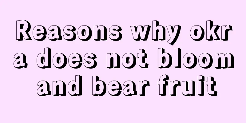 Reasons why okra does not bloom and bear fruit