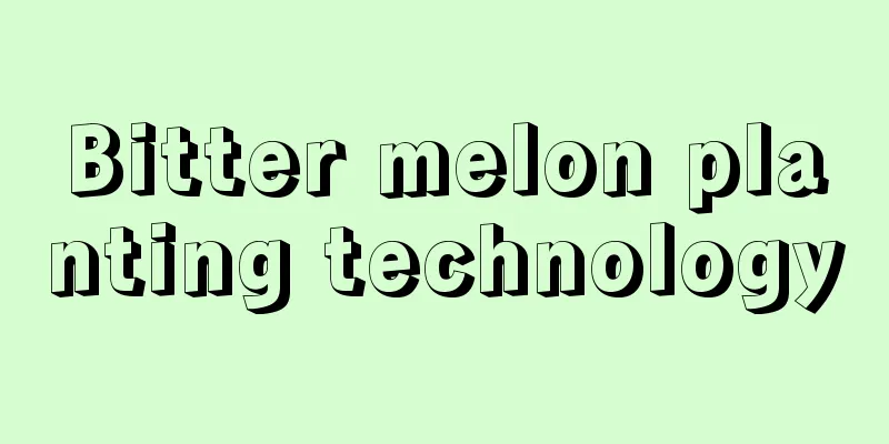 Bitter melon planting technology