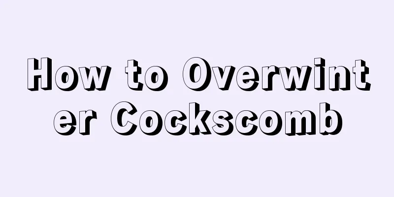 How to Overwinter Cockscomb