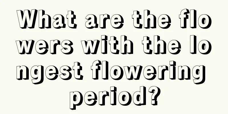 What are the flowers with the longest flowering period?