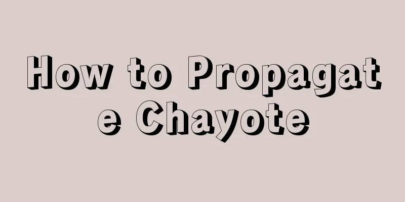 How to Propagate Chayote