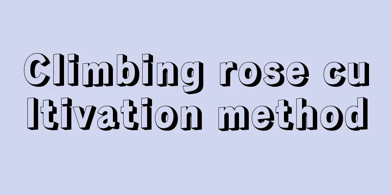 Climbing rose cultivation method