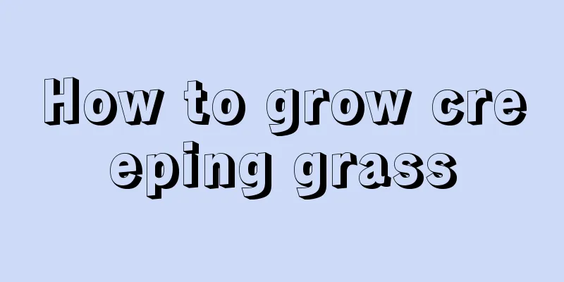 How to grow creeping grass