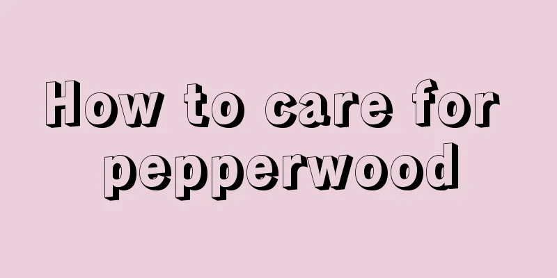 How to care for pepperwood