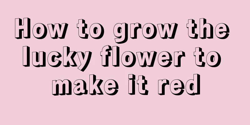 How to grow the lucky flower to make it red