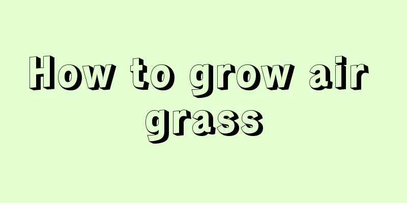 How to grow air grass