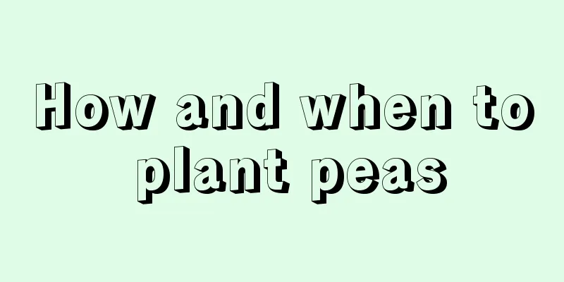 How and when to plant peas