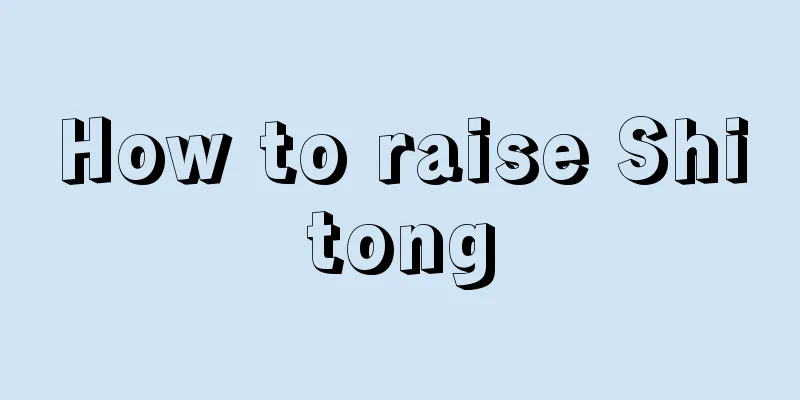 How to raise Shitong