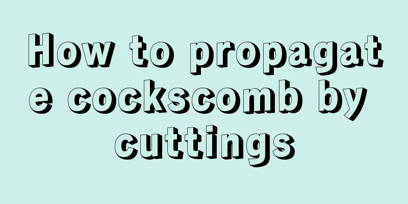 How to propagate cockscomb by cuttings