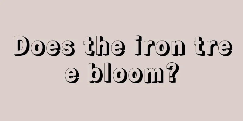 Does the iron tree bloom?