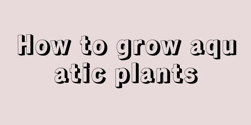 How to grow aquatic plants