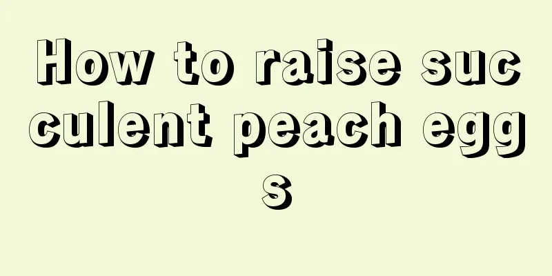 How to raise succulent peach eggs