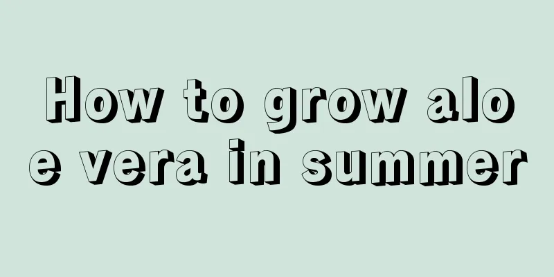 How to grow aloe vera in summer