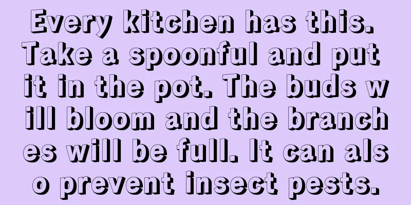 Every kitchen has this. Take a spoonful and put it in the pot. The buds will bloom and the branches will be full. It can also prevent insect pests.