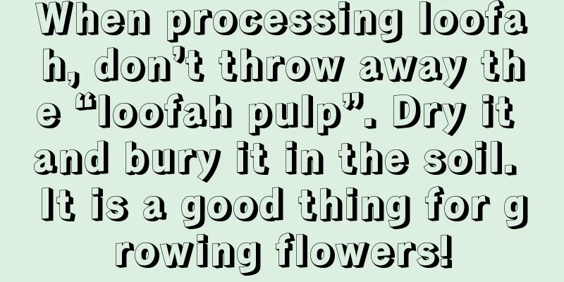 When processing loofah, don’t throw away the “loofah pulp”. Dry it and bury it in the soil. It is a good thing for growing flowers!