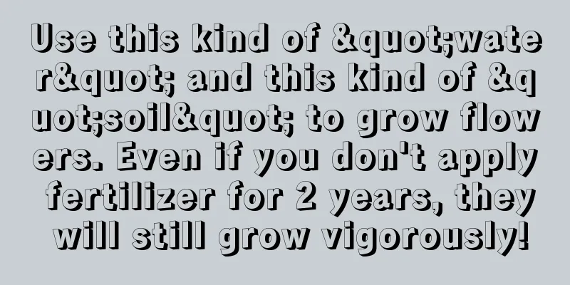 Use this kind of "water" and this kind of "soil" to grow flowers. Even if you don't apply fertilizer for 2 years, they will still grow vigorously!