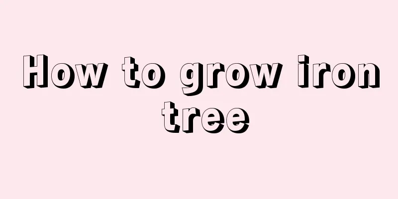 How to grow iron tree