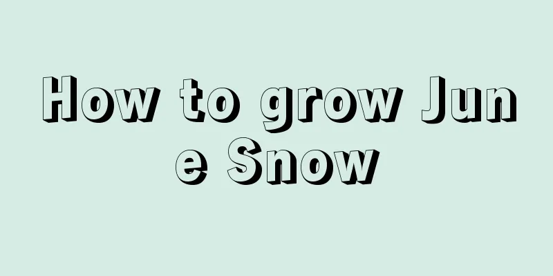 How to grow June Snow