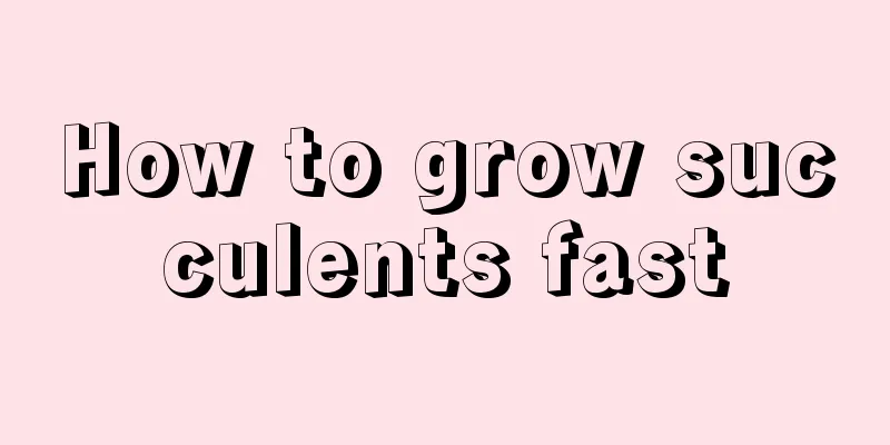 How to grow succulents fast