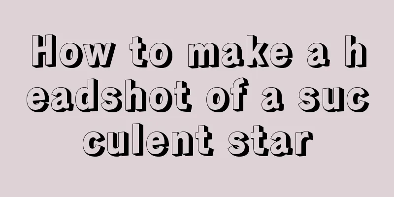 How to make a headshot of a succulent star