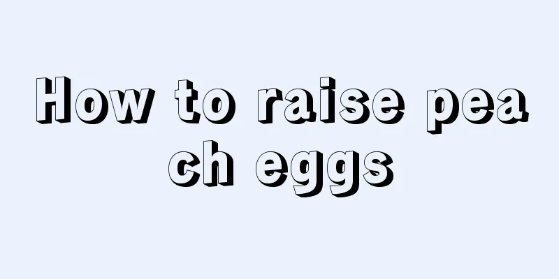 How to raise peach eggs