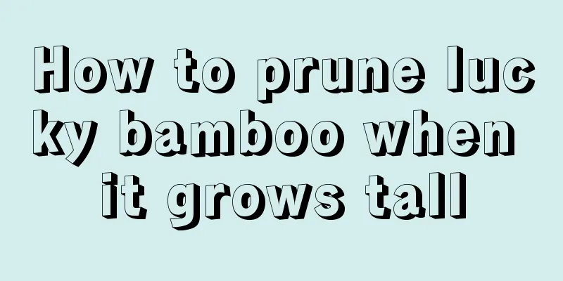 How to prune lucky bamboo when it grows tall