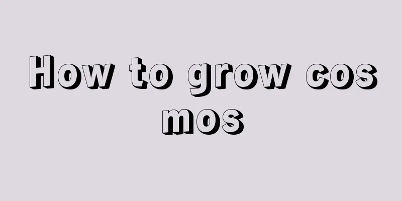 How to grow cosmos