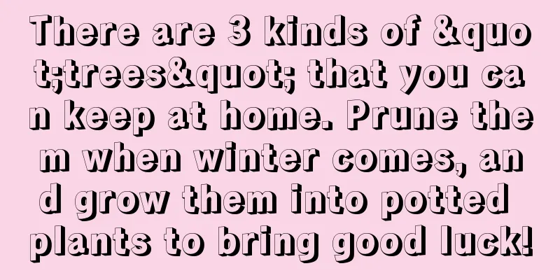 There are 3 kinds of "trees" that you can keep at home. Prune them when winter comes, and grow them into potted plants to bring good luck!