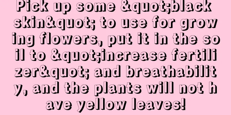 Pick up some "black skin" to use for growing flowers, put it in the soil to "increase fertilizer" and breathability, and the plants will not have yellow leaves!