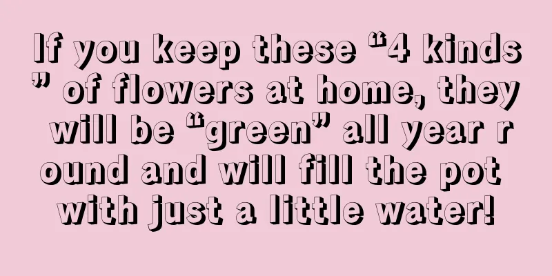 If you keep these “4 kinds” of flowers at home, they will be “green” all year round and will fill the pot with just a little water!