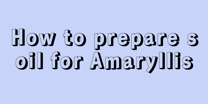 How to prepare soil for Amaryllis