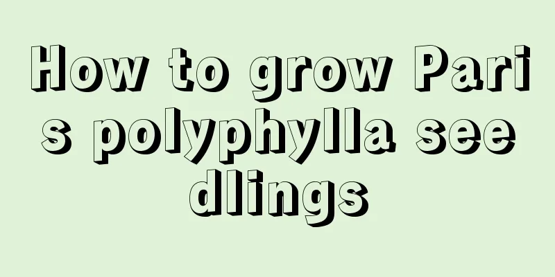 How to grow Paris polyphylla seedlings