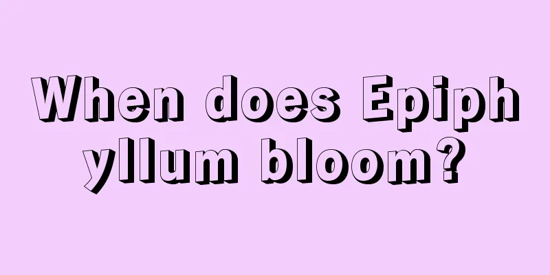 When does Epiphyllum bloom?