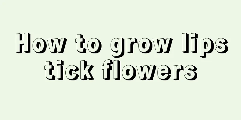 How to grow lipstick flowers