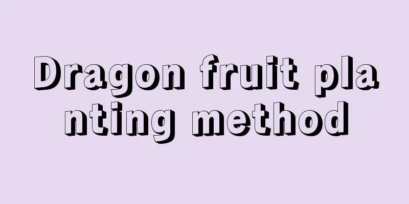 Dragon fruit planting method