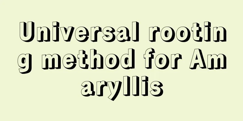 Universal rooting method for Amaryllis