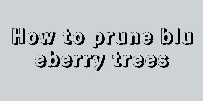 How to prune blueberry trees