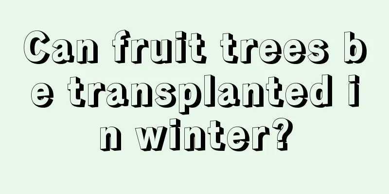 Can fruit trees be transplanted in winter?