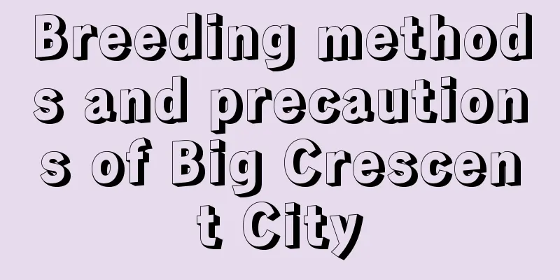 Breeding methods and precautions of Big Crescent City