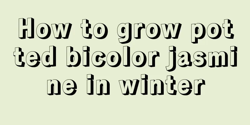 How to grow potted bicolor jasmine in winter