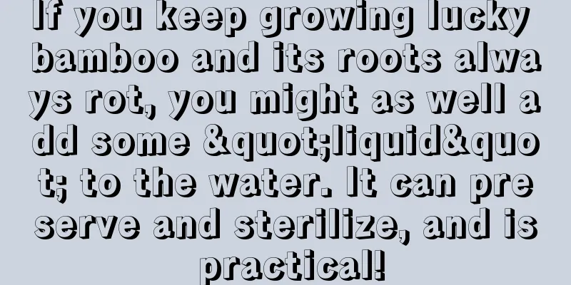 If you keep growing lucky bamboo and its roots always rot, you might as well add some "liquid" to the water. It can preserve and sterilize, and is practical!