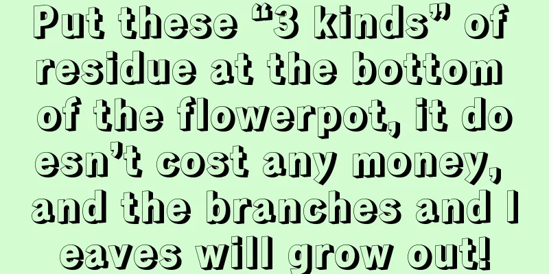 Put these “3 kinds” of residue at the bottom of the flowerpot, it doesn’t cost any money, and the branches and leaves will grow out!