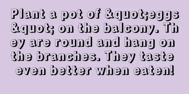 Plant a pot of "eggs" on the balcony. They are round and hang on the branches. They taste even better when eaten!