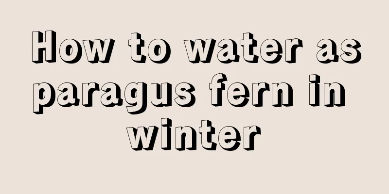 How to water asparagus fern in winter