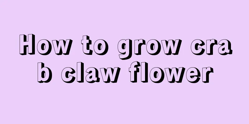 How to grow crab claw flower