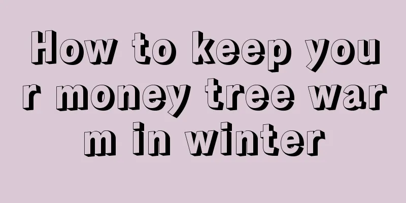 How to keep your money tree warm in winter