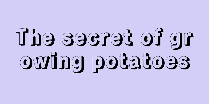 The secret of growing potatoes