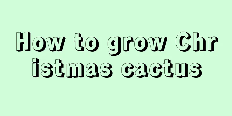 How to grow Christmas cactus